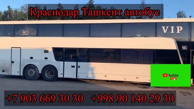Ташкент Краснодар автобус Краснодар Ташкент автобус ￼