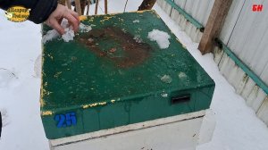 почему не обработал пчел чистотелом, пчеловодство