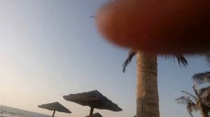 Аджман отель Кемпинский 160607 1823