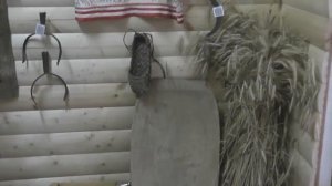Русская изба