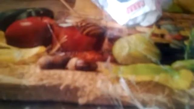 Уходи дверь закрой у меня теперь другой. Со мной другой(14) смотреть онлайн