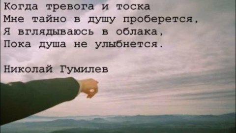 Сладость и горечь