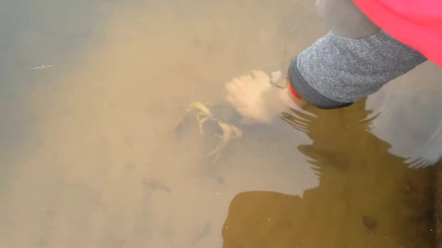 29 марта 2017 г. смотреть онлайн