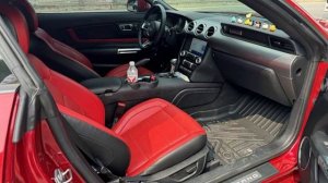 Sport car Ford Mustang 2021 2.3T EcoBoost Black Shadow Special Edition 🚘