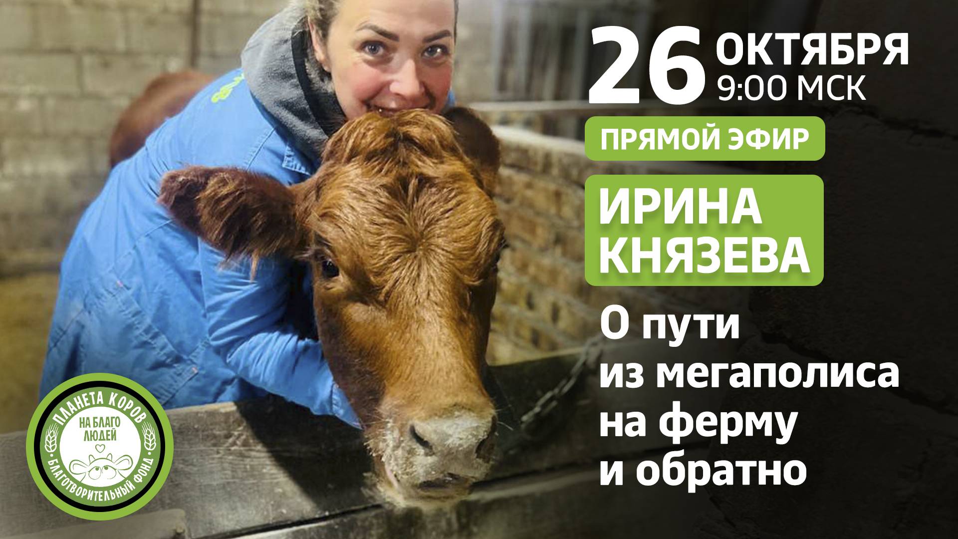 Доброе утро с Планетой коров, в гостях Ирина Князева, опекун, волонтёр, благотворитель , 25.10.2024