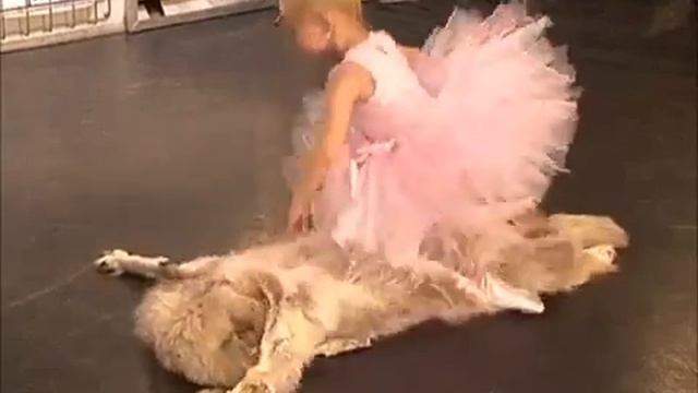 Сюжет про отборочный тур "Маленькая Мисс" в г. Уссурийске смотреть онлайн