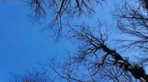 Новое видео|клип |Флоран МОТ |Москва