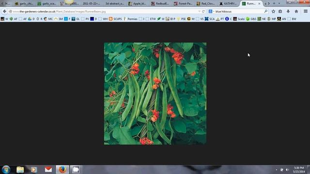 Gothic Gardening Week Four Edible Flowers Part 2 смотреть онлайн