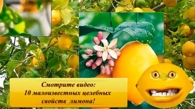 ЩЕЛОЧНОЕ ПИТАНИЕ. 14 правил щелочного питания, топ 7 продуктов с высоким содержанием щелочи