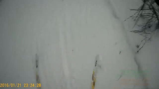 Сьемка экшен камеры sjcam 4000 2.0 -- покатушки на лыжах смотреть онлайн