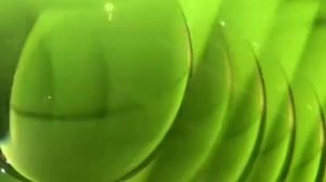 ID_LOGO_NTV2001_1.mov