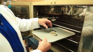 Качество продуктов NSP (НСП). Производство бадов