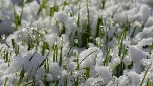 Артур Багинский - Апрельский Снег