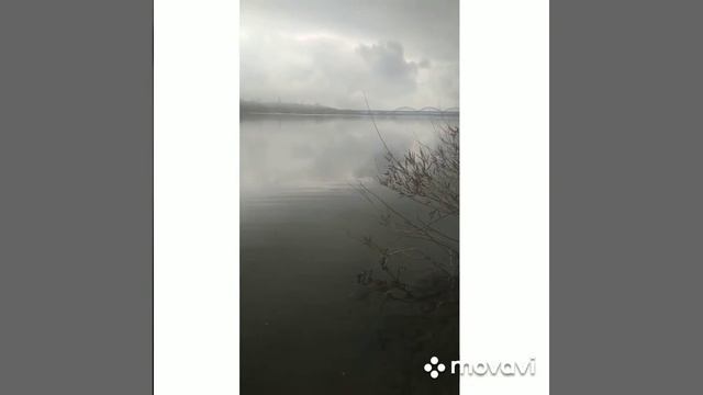 Апрель ловля плотвы на Осокорках.