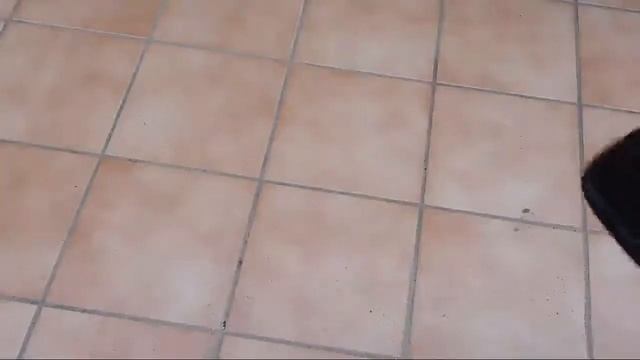 AEG HX6 14TM W Aspiradora de mano, Con fuerza, puede aspirar solidos y liquidos Bateria Litio E смотреть онлайн