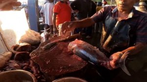 Рыбный рынок, акулы, тунец и местные. Мирисса, Шри Ланка. Mirissa harbor , Sri Lanka