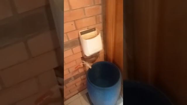 обзор бани !!Делаем сами своими руками !! #2023 #огород #дом #семья #баня #стройка #сад #частныйдом смотреть онлайн