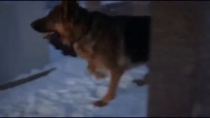 Немой фильм кино Детективы боевики русские 2015 новинки криминал Russkoe kino Kriminal Detektiv