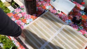 решетка для сбора прополиса какую выбрать