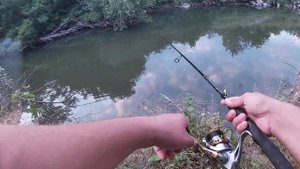 Кефали на блесна 1