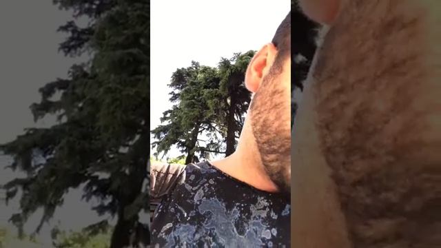 Prados Museum queue. Madrid Spain