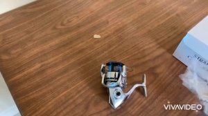 shimano Stradic C5000XG (NEW2019)