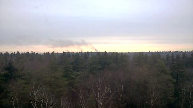 Пожар в лесу рядом с ЖК Изумрудные Холмы смотреть онлайн