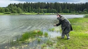 Ловля карпа на червя. Общий водоём.