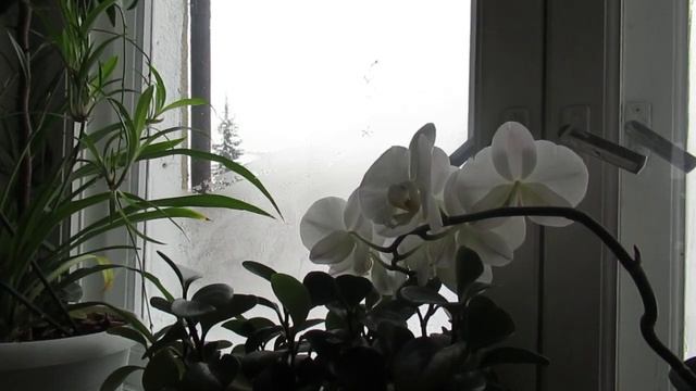 Любил когда... смотреть онлайн