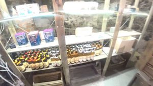 Экскурсия по Выборгу