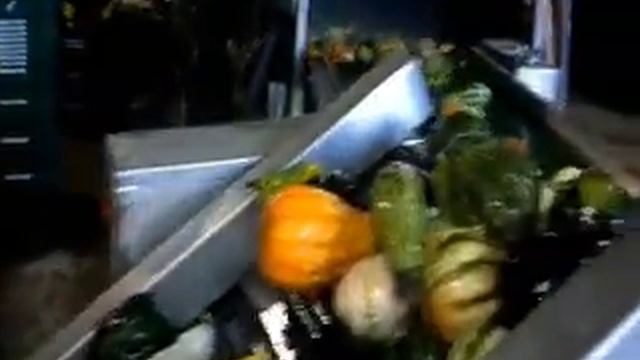 Мойка арбузов и тыквы смотреть онлайн