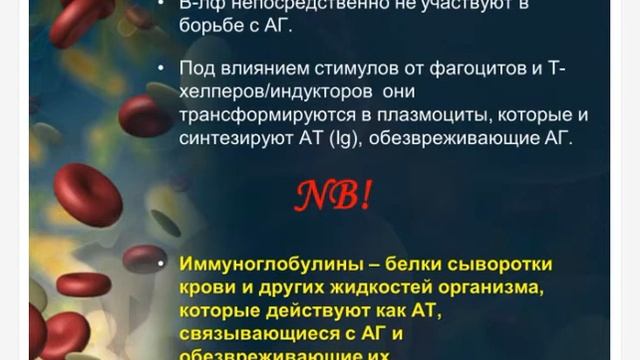 Иммунология (3 лекция) часть 3 смотреть онлайн