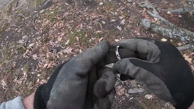 What Did I Break? Garrett Apex, Hand Digger, Mason Jar Seal смотреть онлайн