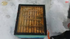 пчеловодство. зимовка в ППУ, ППС (верхняя вентиляция), что то пошло не так!