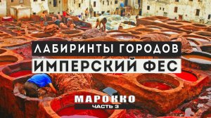 Марокко: лабиринты городов. Самый старый университет и красильня кожи в мире.