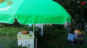 зонтик помощник пчеловода, пляжный зонт на пасеке