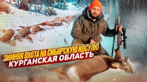 Зимняя охота на сибирскую косулю в Курганской области