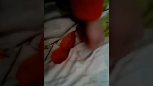 Витамишки за 595 руб + вода смотреть онлайн