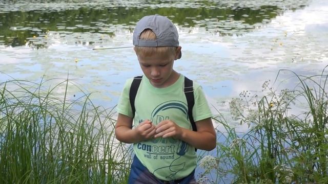 09.07.2015. Киров,Заречный парк,старица Вятки смотреть онлайн