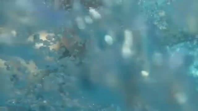 Бассейн с Друзьями смотреть онлайн