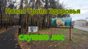 Прогулка в лесу по новой Тропе здоровья, это только начало... октябрь 2024