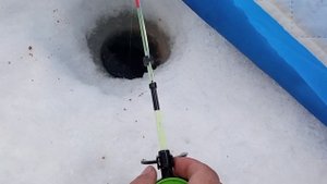 кормушка на рипуса, как работает