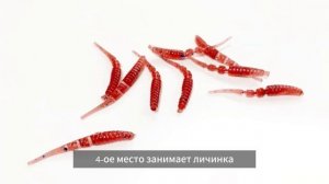 Топ 7 уловистых приманок на окуня