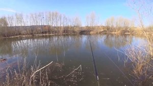 ПЛОТВА НА ПОПЛАВОК, неожиданный жор плотвы, много поклевок и рыбы, что может быть лучше