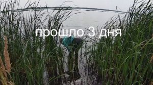 Какая мордушка ловит лучше