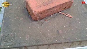 пчеловодство, покраска ульев снова об основном чем красить ульи из ППУ ППС