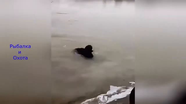Русская охота Рыбалка по русски смотреть онлайн