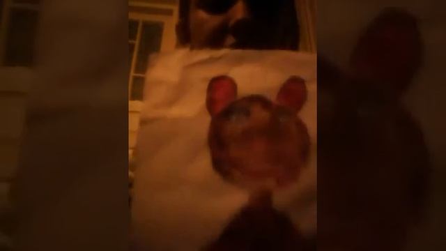 Мой любимый Мишка