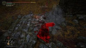 Elden Ring Магнус Коготь Зверя (128)