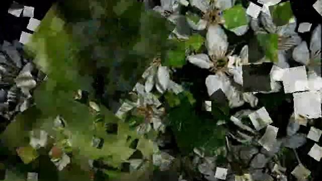 Фильм садок вишневий муз